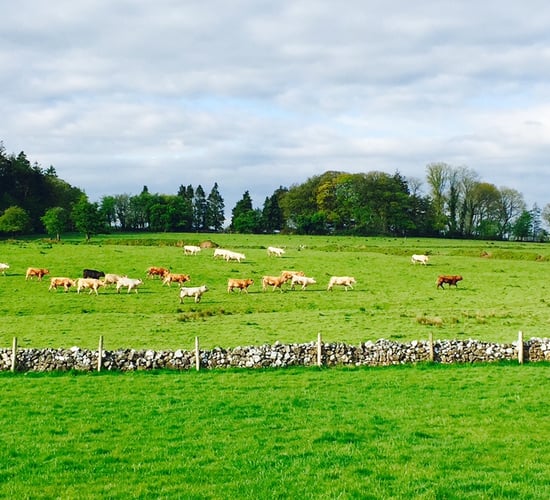 Performance recording is a core requirement for all farm businesses