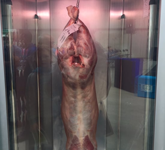 'Lamb must be included in beef trade missions'