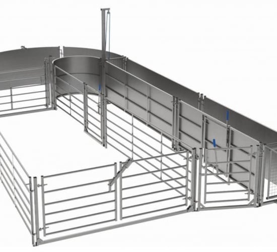 See the sheep handling equipment farmers can get grants for
