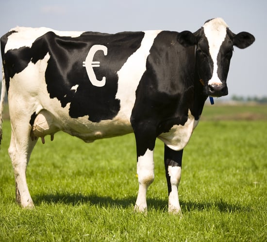 Simple steps to save up to €3,000 on your dairy farm