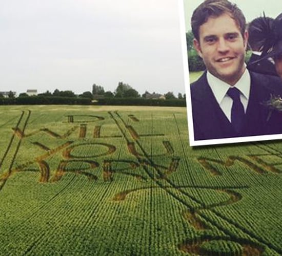 Crop marks for farmer's marriage proposal with a difference
