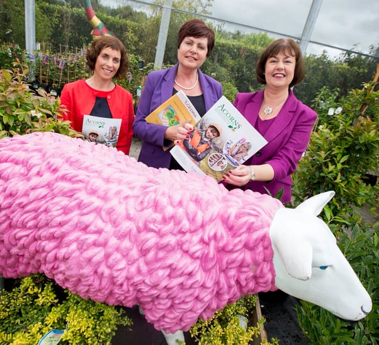 Are you a female entrepreneur in rural Ireland? A new fund can help you