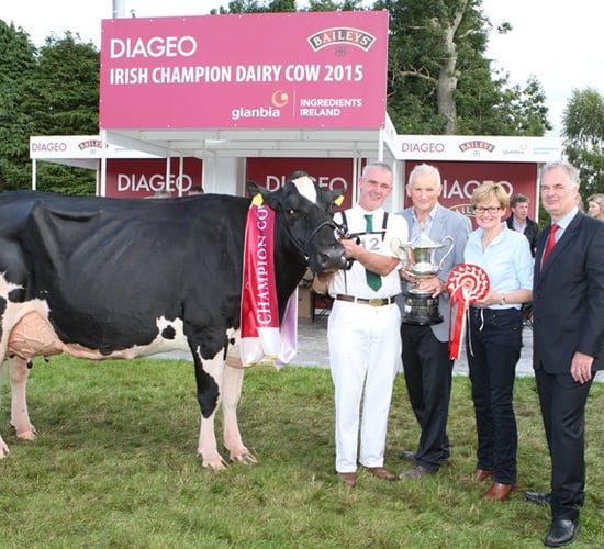 Cork breeder wins Diageo: Baileys Dairy Cow of the Year