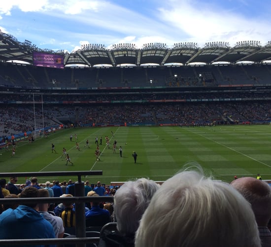 Forget about the cats, a hawk has deterred the Croke Park pigeons
