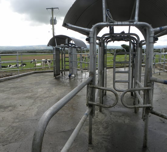ICOS outlines plans to help the dairy market (raising the intervention price is not one of them)