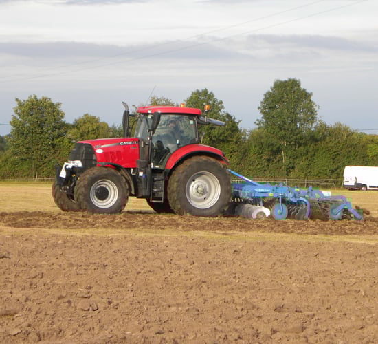 'Now is the ideal time to solve weed, pest and disease problems'