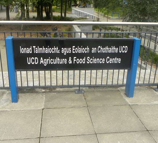 The unofficial guide to UCD for new Ag students (not suitable for parents)