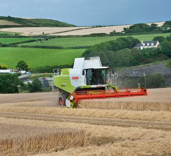 Mixed fortunes for tillage farmers with north-south divide on yields