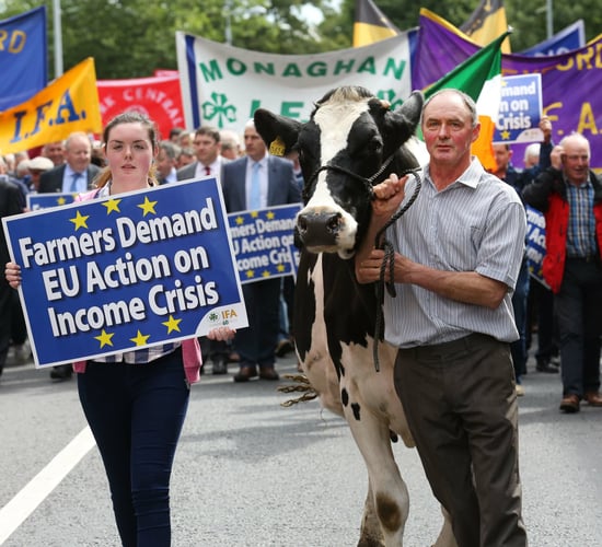 The future of IFA protests, according to the presidential candidates