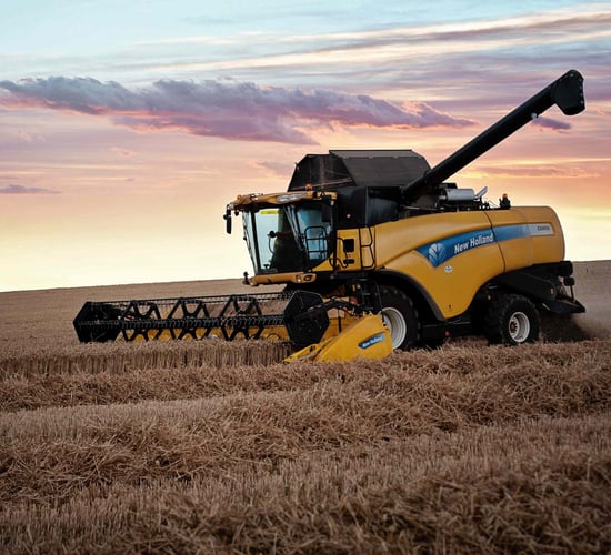 French wheat harvest tops 40m tonnes