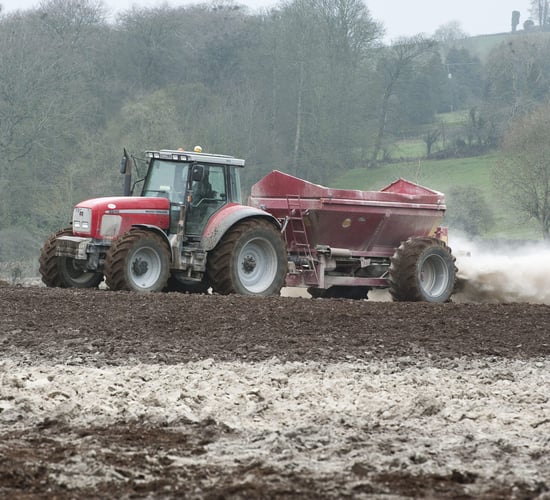 Renewed calls for liming extension as deadline approaches