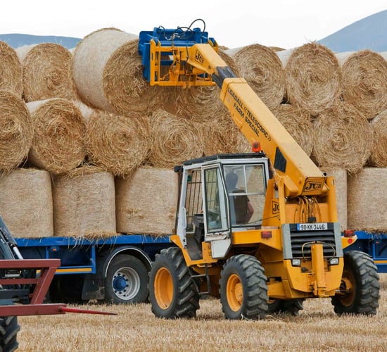Straw prices: What's the current market like for bales?