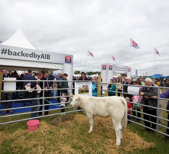 Reminder: Traffic plan in place for tomorrow's Tullamore Show