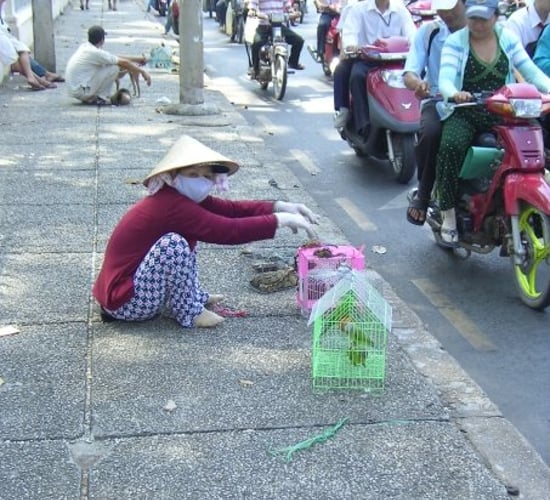 EU agrees free trade agreement with Vietnam