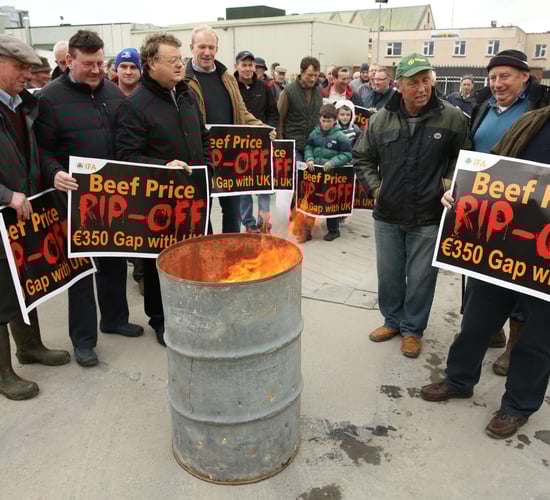Teagasc data shows serious impact of beef crisis on beef finishers in 2014