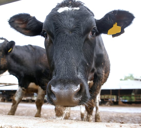 'Collaborative approach needed to address milk price concerns'