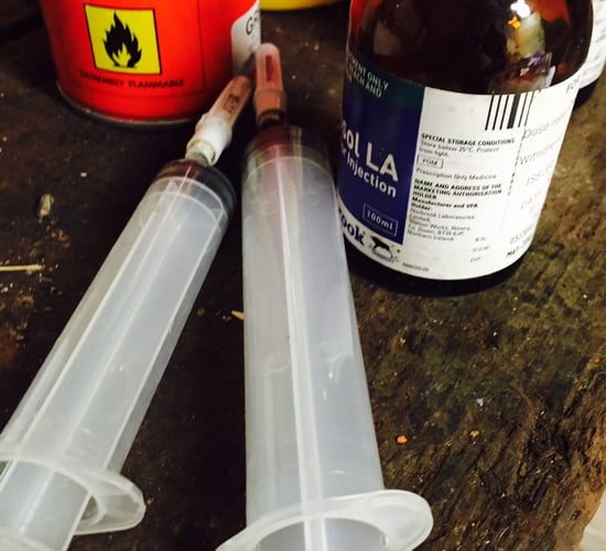 Injection sites: Where is the best place to administer vaccinations?