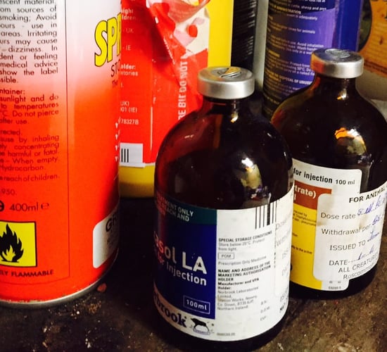 Ógra Fianna Fáil calls for compromise over sale of veterinary medication