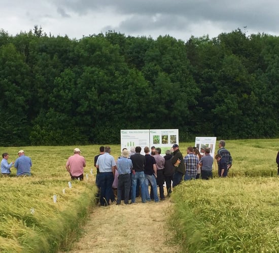 Why facilitators not the Department will pay farmers in new discussion groups