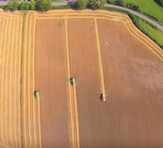 Video: Great footage of spring barley being harvested in Carlow
