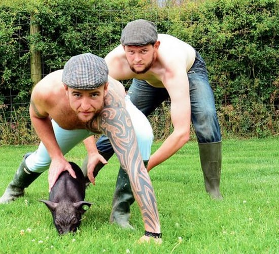 The topless Irish farmer calendar is going stateside