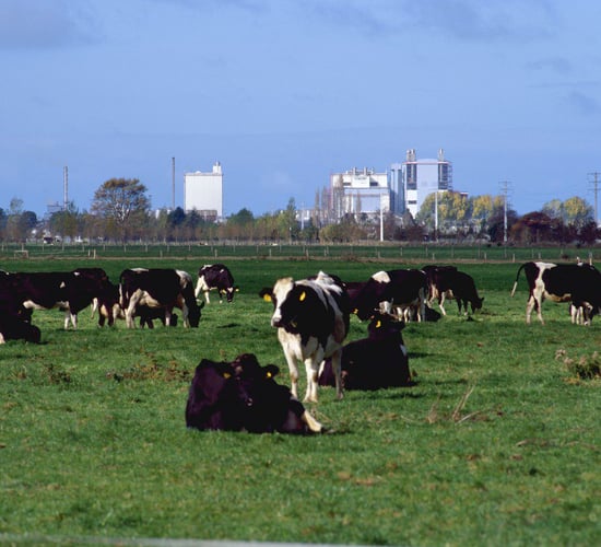 Fonterra aims for 30% on-farm emissions cut by 2030
