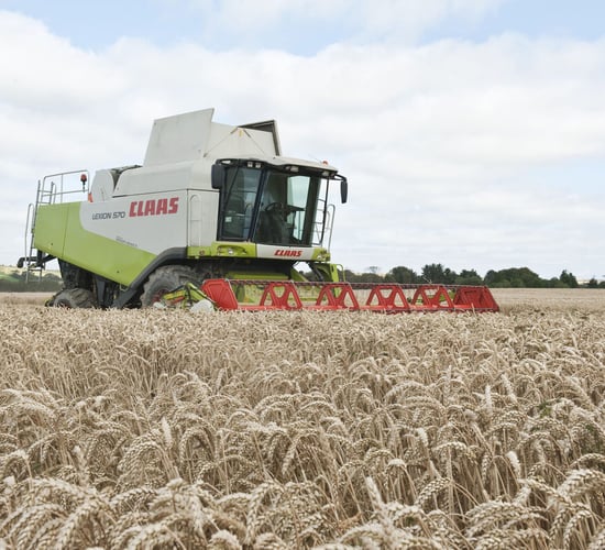 30% of the acreage of tillage farmers is rented - new report