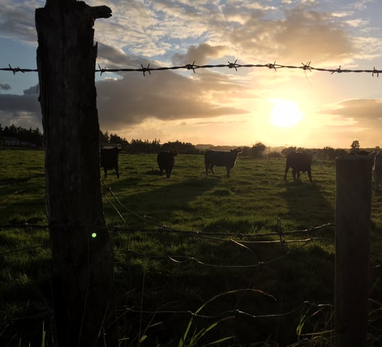 'I'd often sit in the jeep for hours. I just wanted to end my life' - One farmer's struggle with mental illness