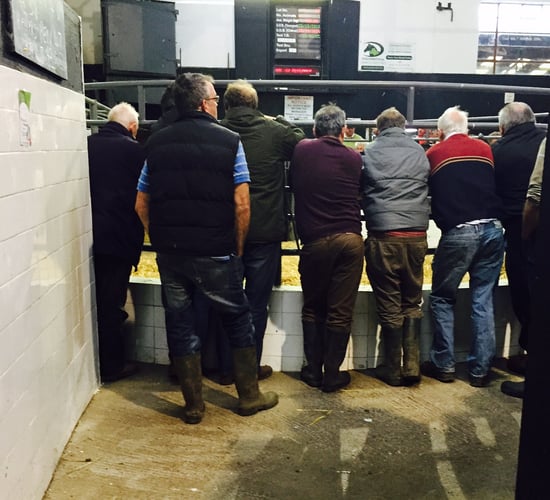 'More than half of European farmers are 55 or over'