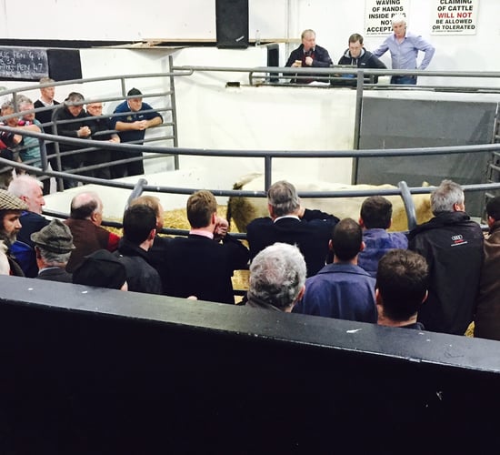 'Dramatic increase in insurance premiums threatens survival of marts'