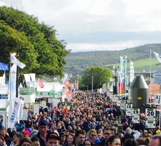 200,000-plus set to attend National Ploughing Championships