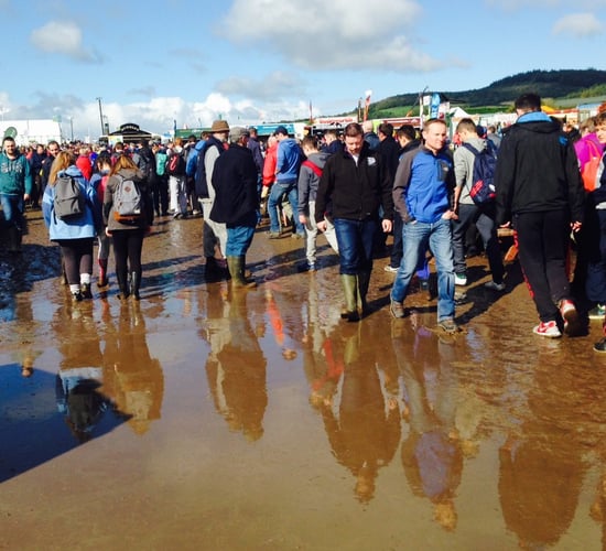 PICS: Sunshine, muck and 77,500 people make Day One at Ploughing 2015