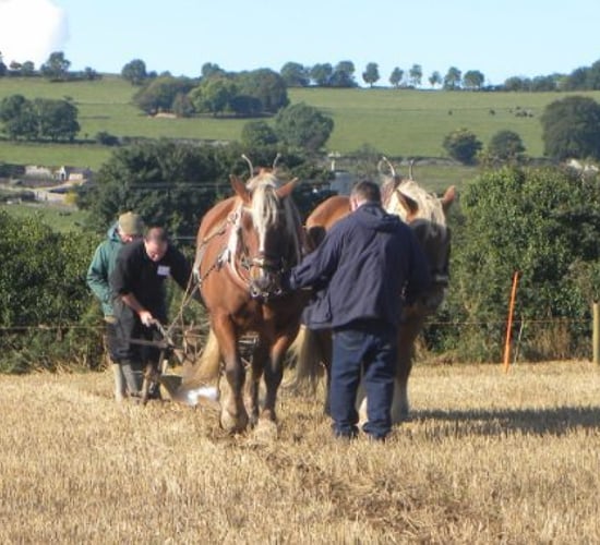 National Ploughing Championships heads to Offaly for 2016