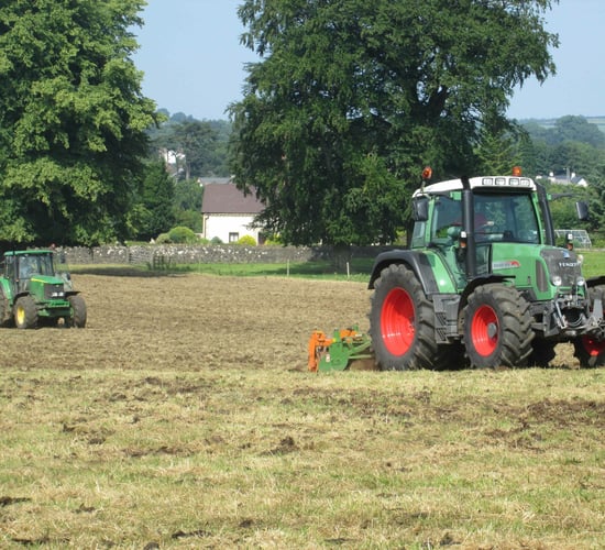 Reseeding: Clover establishment - pros and cons of each technique