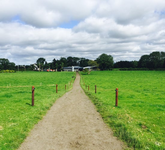 Preventing lameness through grazing infrastructure