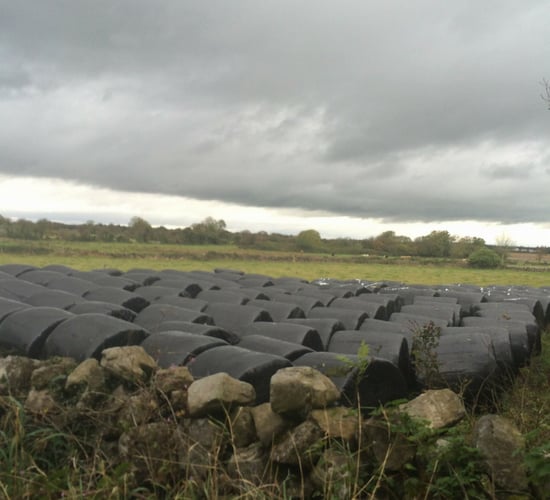 Up to 25mm of rain in the west but mostly dry this weekend - Met Eireann
