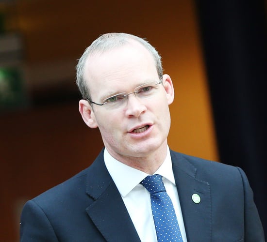Northern Ireland Protocol will work, if we allow it - Coveney