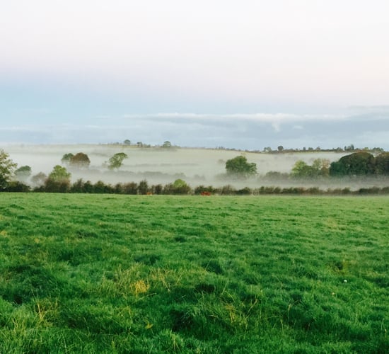 Over 200 farmers still waiting on GLAS payments