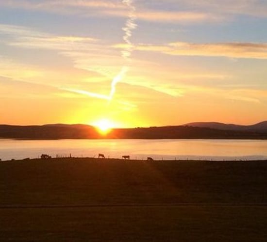 Pics: The crisp, cool autumn weather has arrived on Irish farms