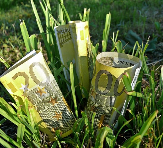 Department spends €7.5m on IT software for schemes since 2014