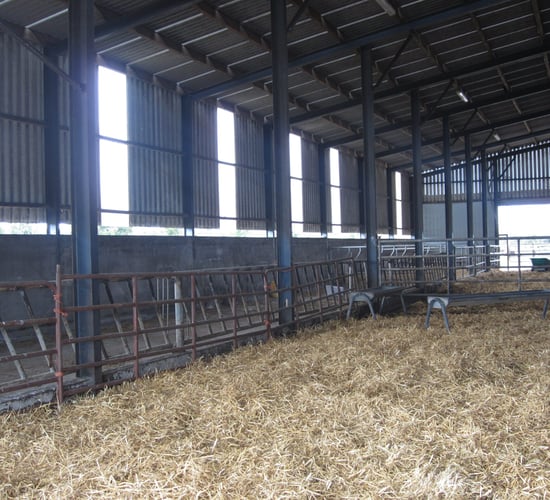 Straw prices: As high as €100 for big bales