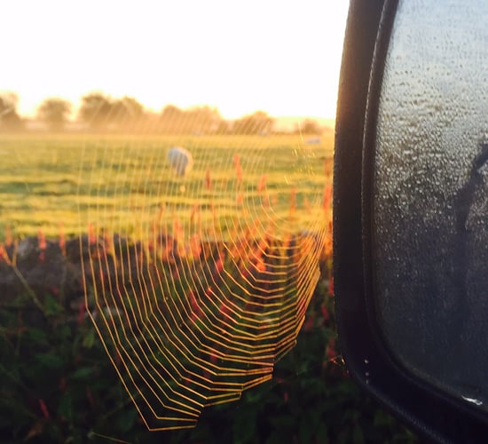 Here's how to make your farm safer over the winter months