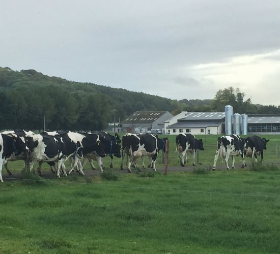 Great map shows EU milk production is powering ahead