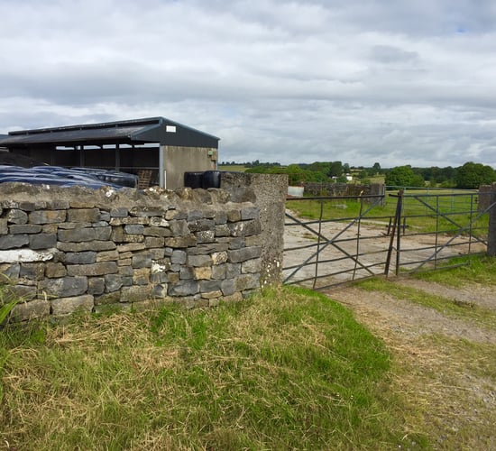 Gardai arrest 34-year-old man in connection with €100,000 livestock theft