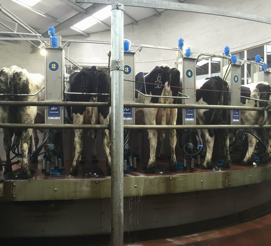 'Dairy farm partnerships must benefit all parties involved'
