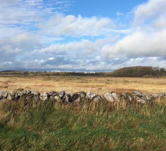 It was the warmest November for 36 years in parts - Met Eireann