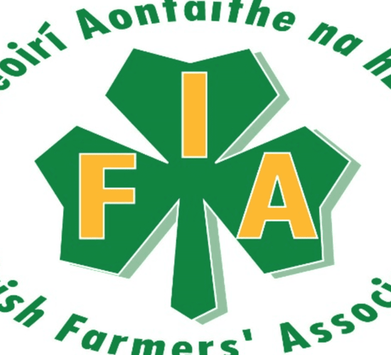 Formal complaint lodged with IFA regarding Kerry executive