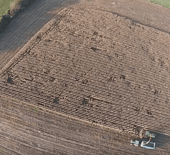 Video: The maize harvest in Tipperary gets wrapped up
