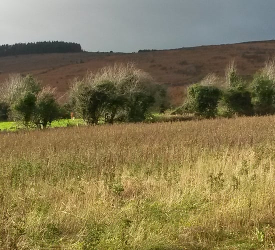 GLAS 2 is more than half full as 11,500 farmers apply to-date