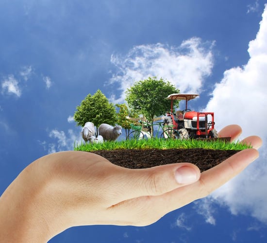Here's why the climate change talks in Paris are important to every Irish farmer